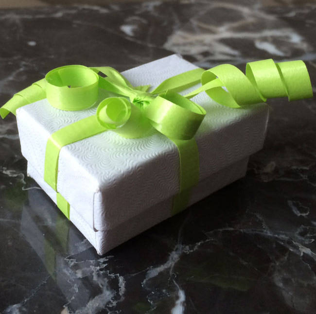 16g Tragus Threadless Push Pin Nose Ring Cartilage Earrings