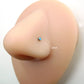Genuine Turquoise Stone Nose Stud Bones, 18G Surgical Stainless Steel L Shape Nose Ring, 20G Low Profile Turquoise Nose Ring