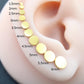 Small Flat Disc Circle Labret Stud 16G, 18G, 20G Flatback Threadless Tragus Helix Push Pin Earrings Cartilage Flat Back Gold Tone Nose Stud